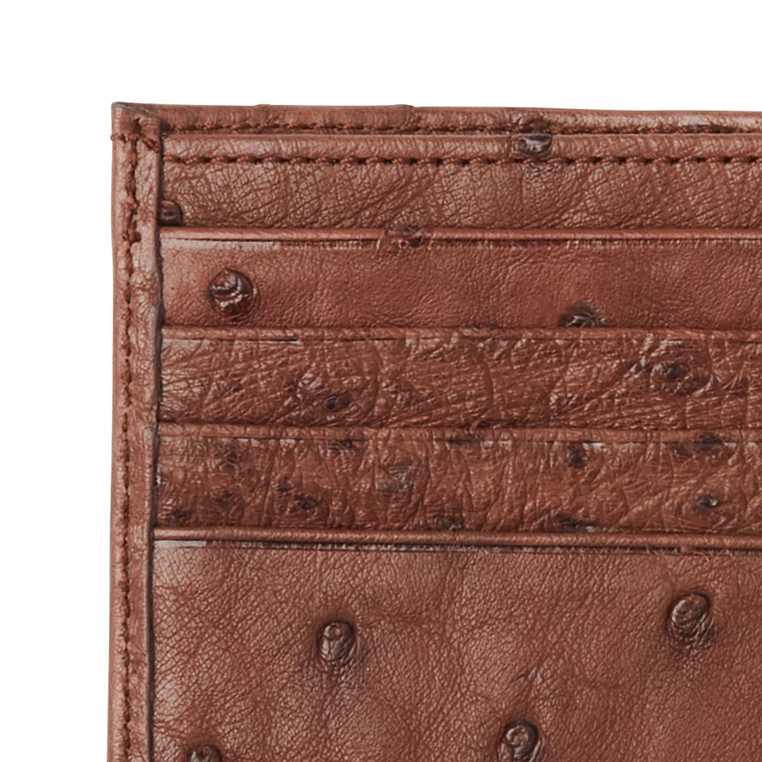 Slim Leather Wallet, Ostrich Print,Brown