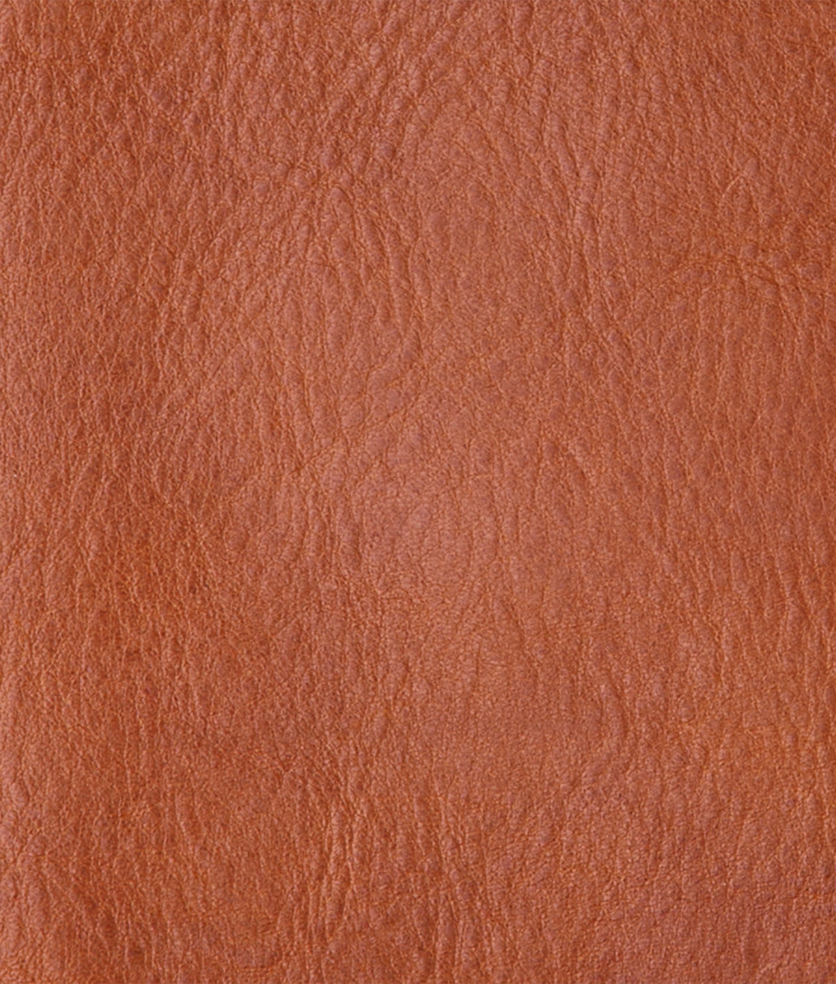 Cosimo Bifold Wallet :: Cognac 4