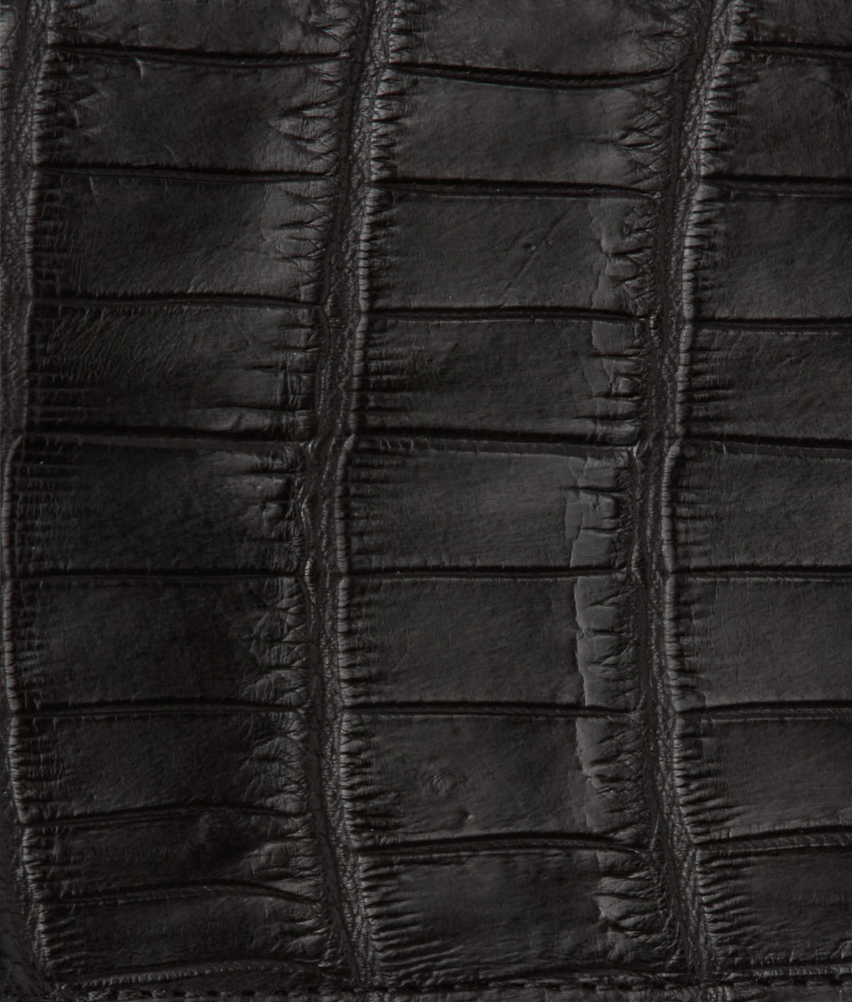 Hipster Wallet - American Alligator :: Black 4