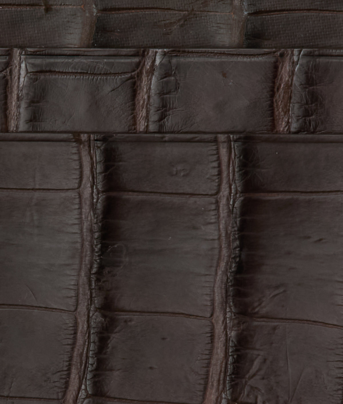 Card Case - American Alligator :: Chocolate 3