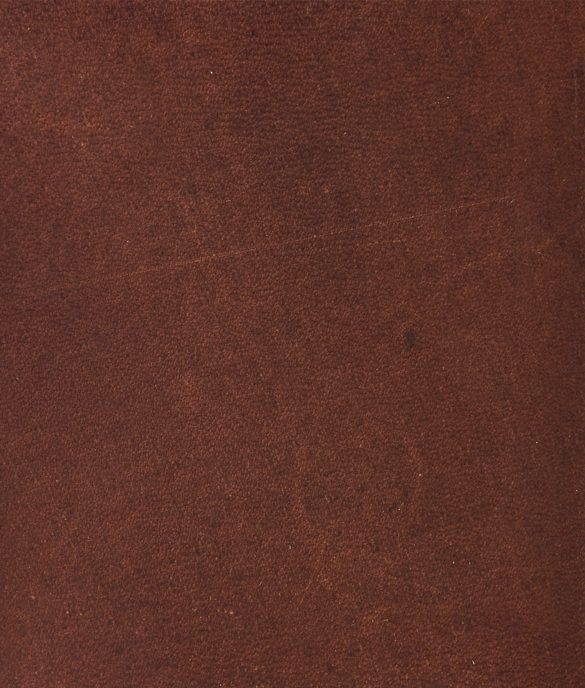 The Code Card Case :: Tan 2