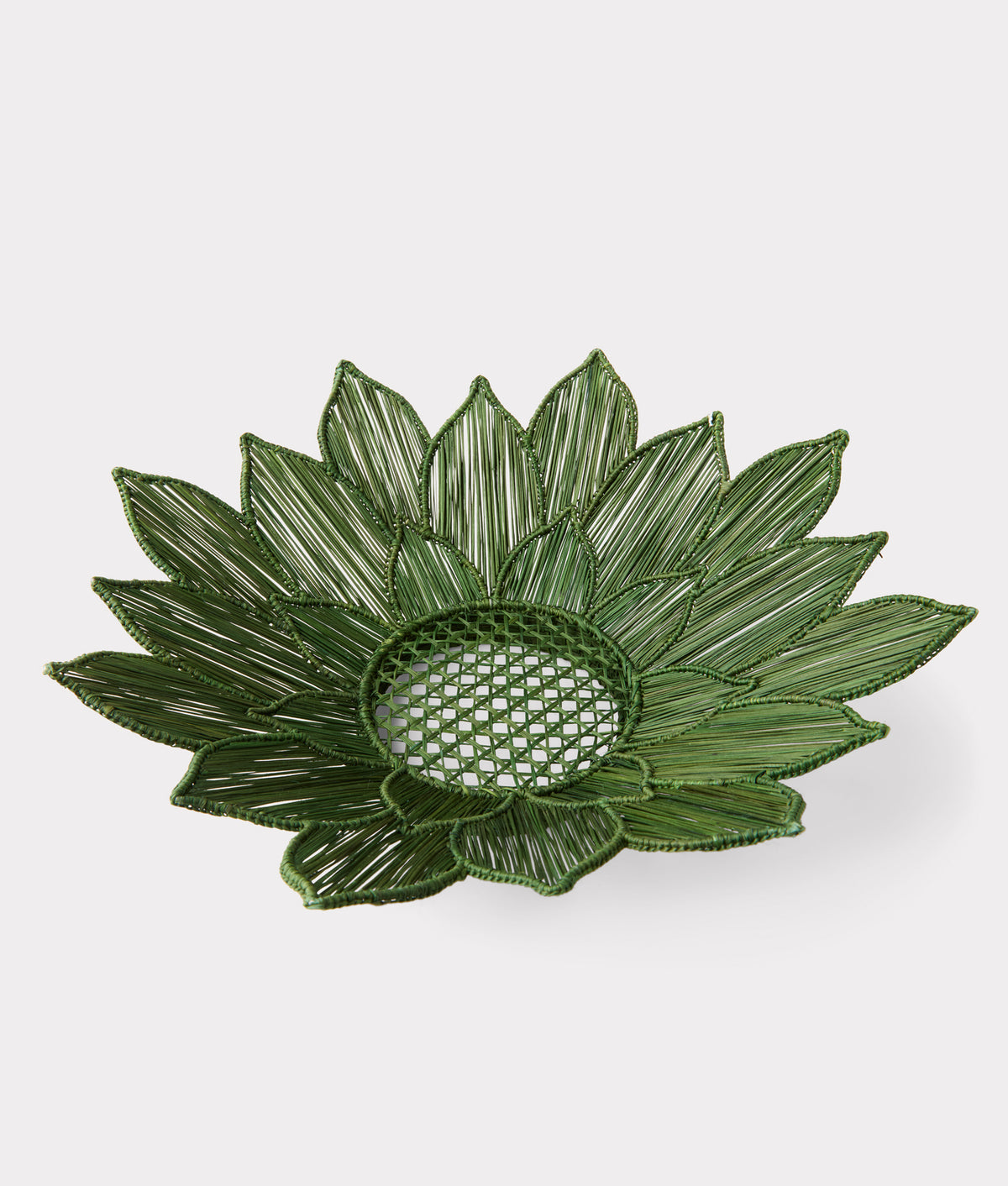 Agave Salad Bowl:: Green 6