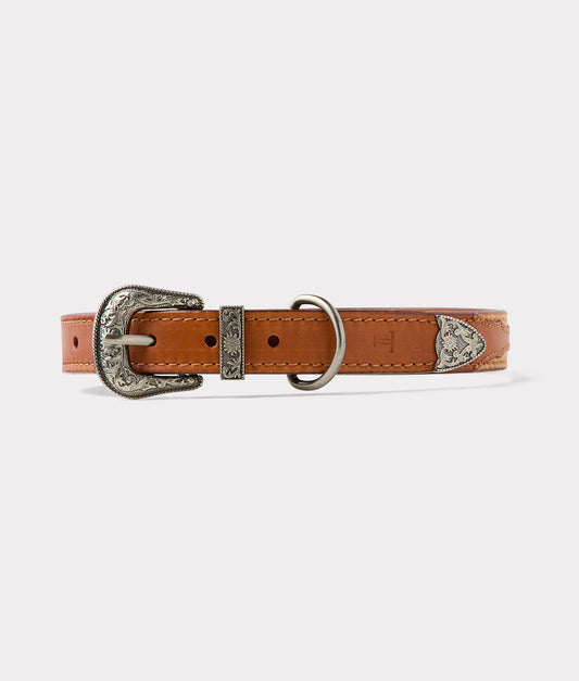 Dog Collar :: Tan