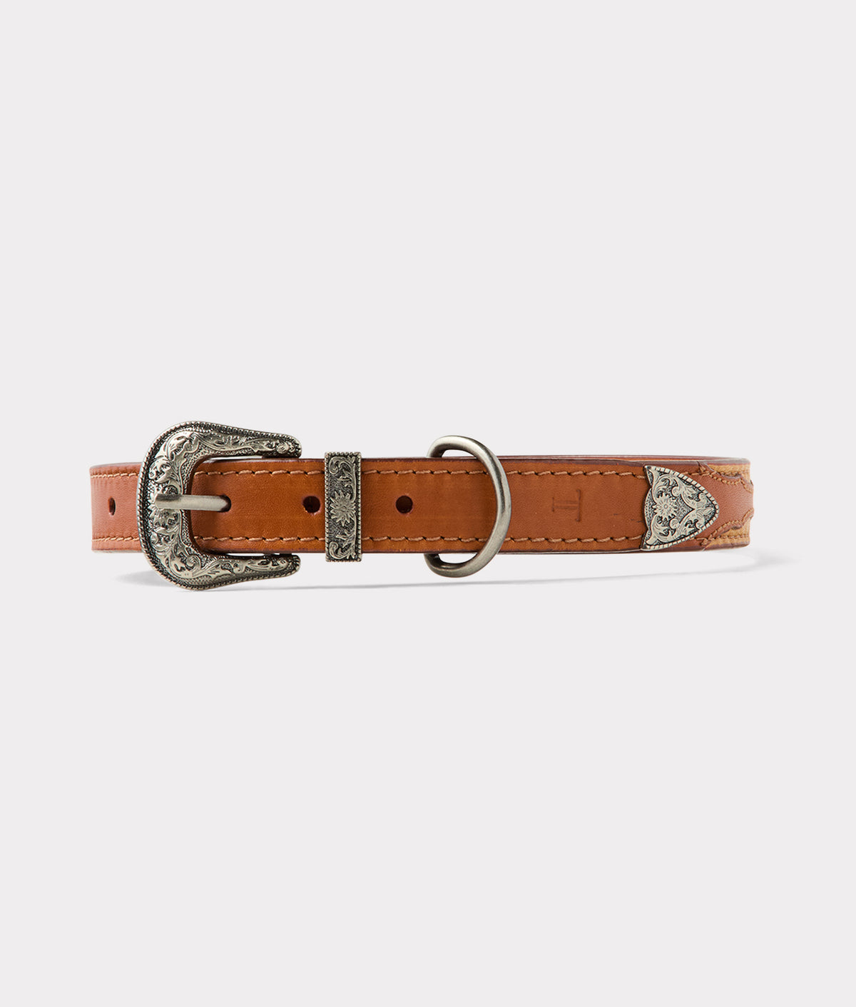 Dog Collar :: Tan 1