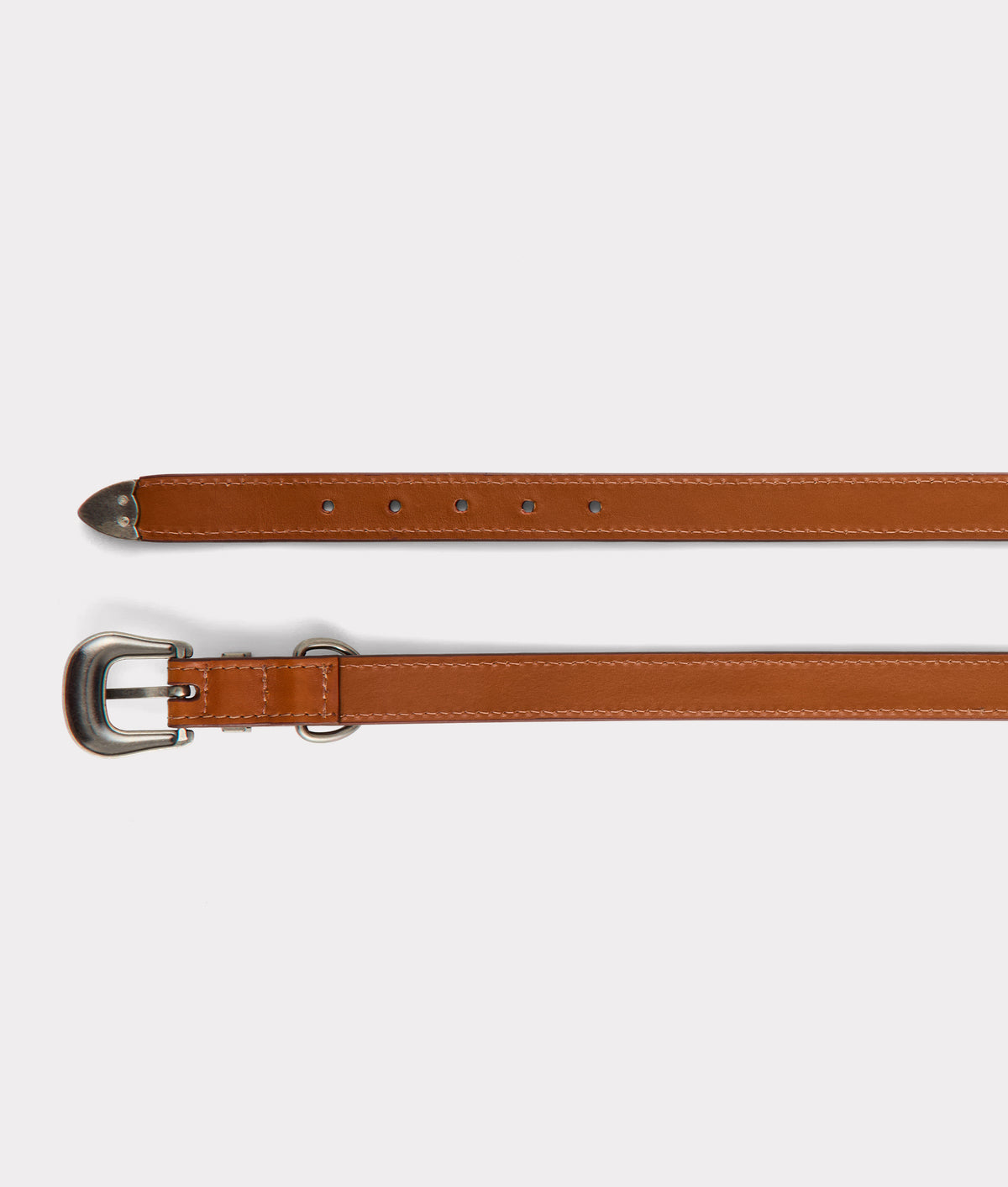 Large Dog Collar :: Tan 1