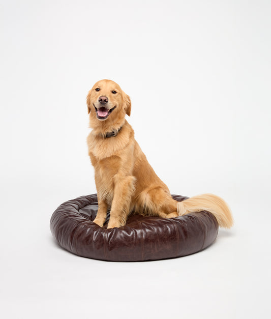 Dog Bed :: Brown