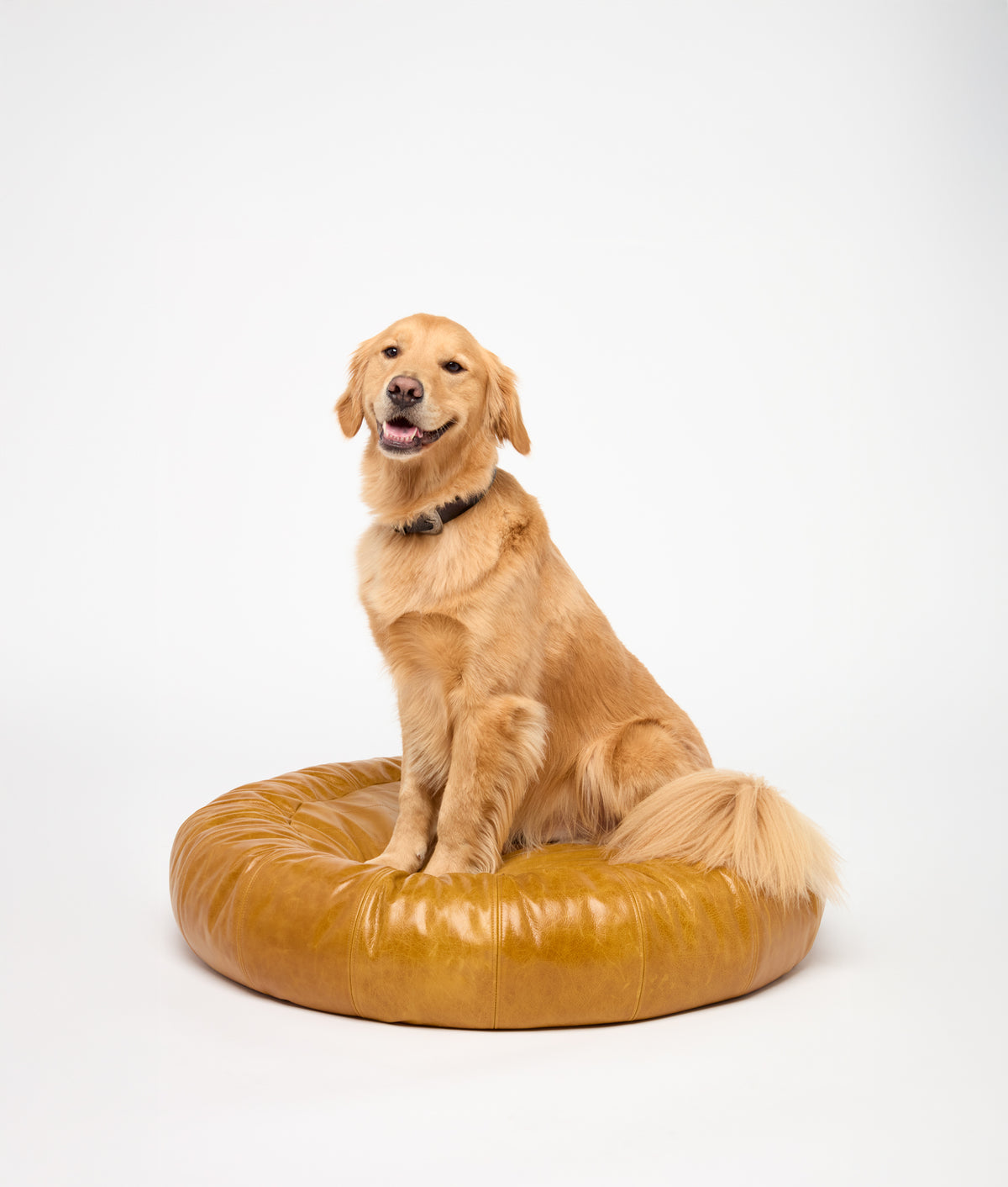 Dog Bed :: Tan 1