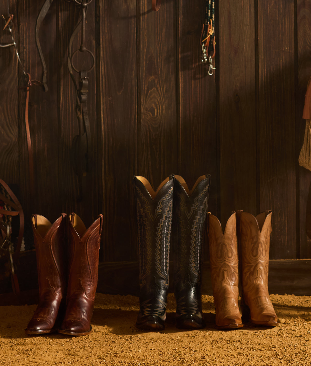 Priscilla :: Black 9