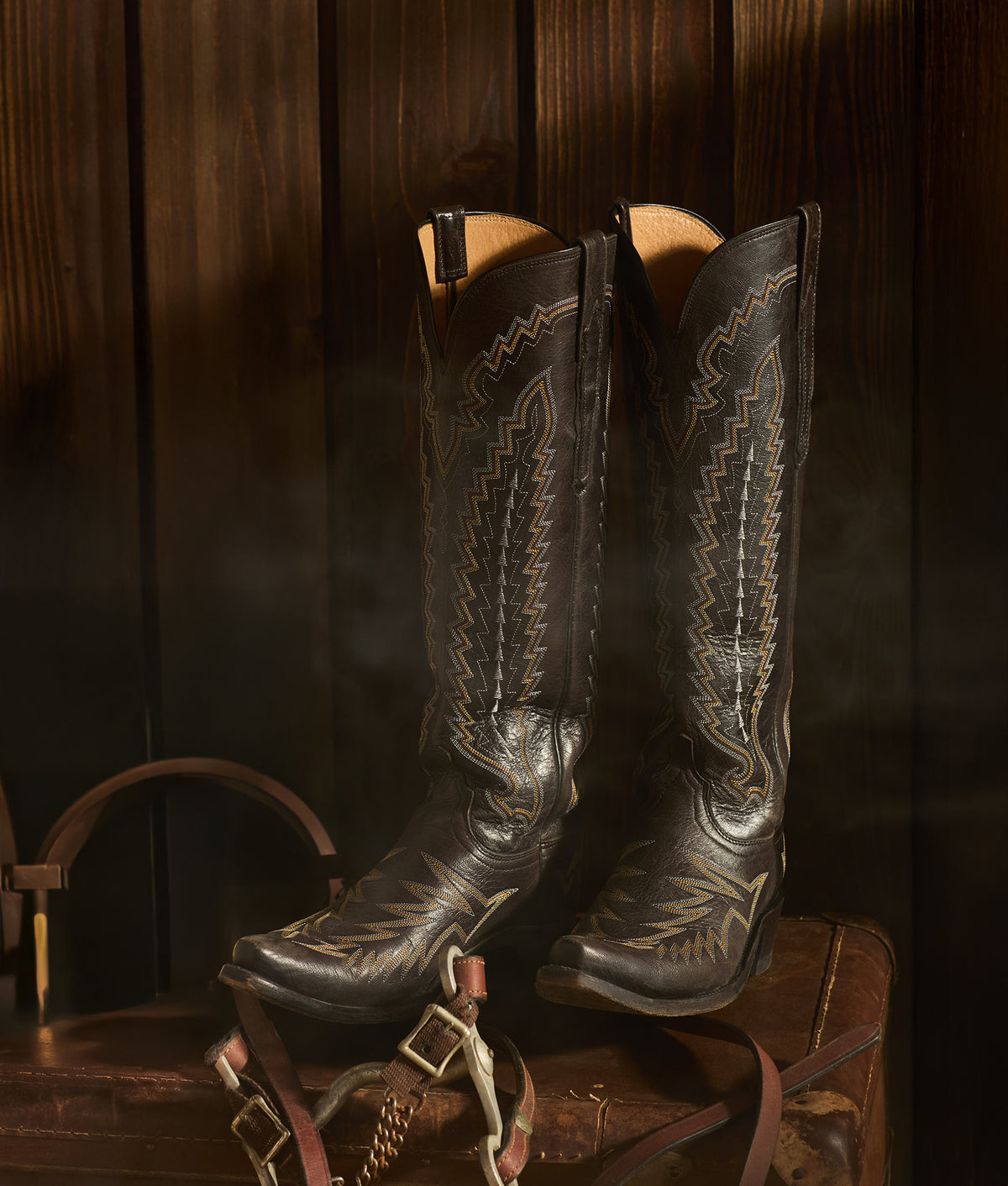 Priscilla :: Black 3