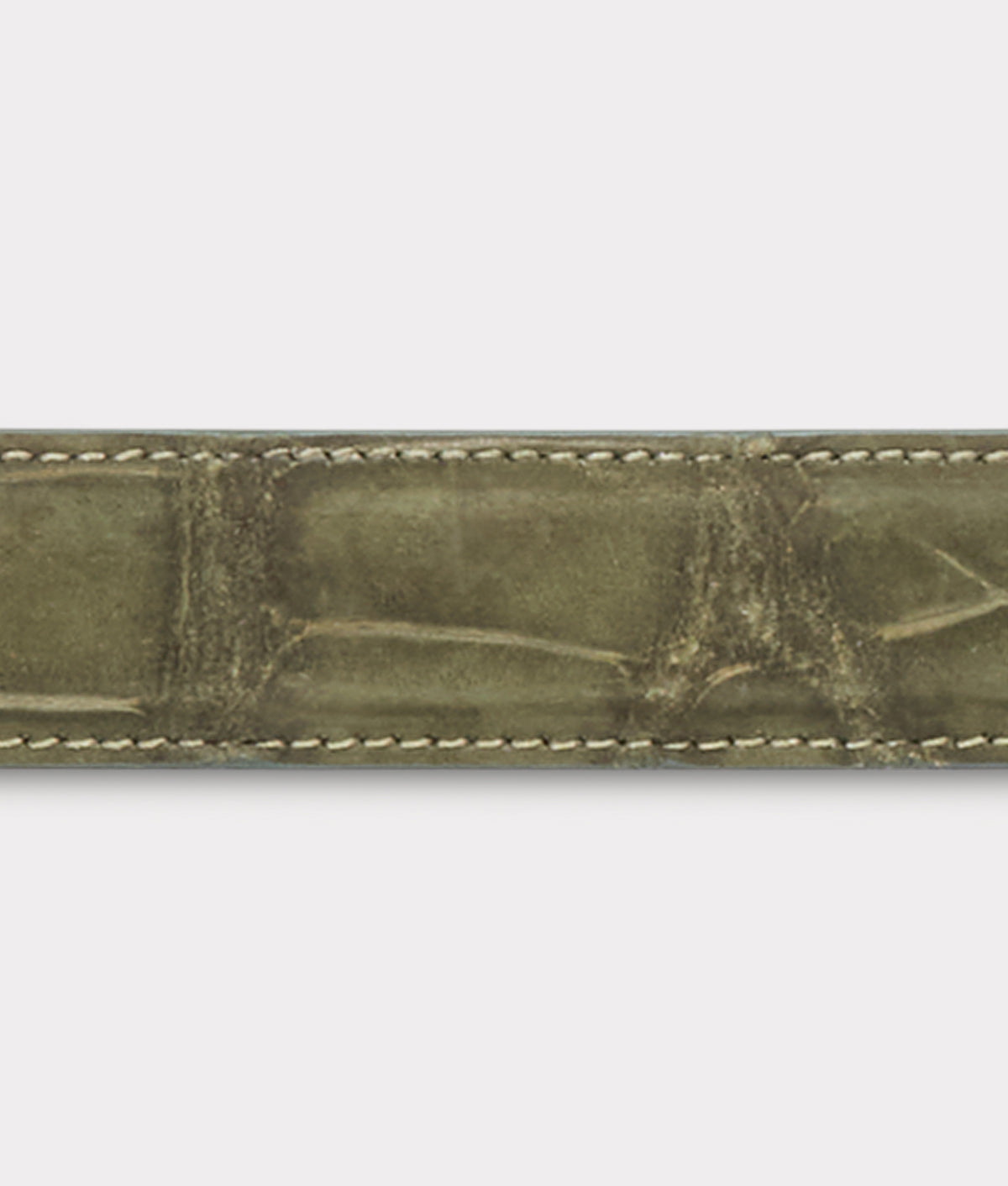 Big Ole Al Belt :: Olive 5