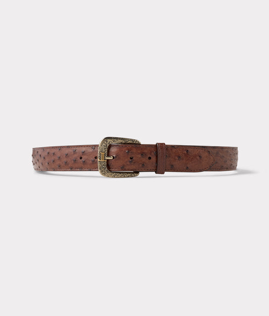 Full Quill Ostrich :: Kango Tobac