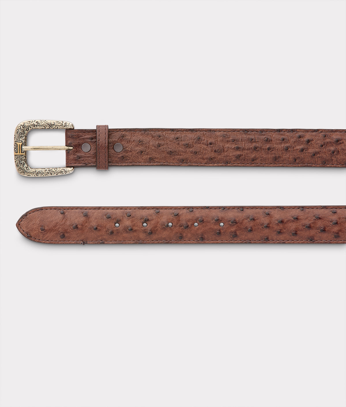 Full Quill Ostrich :: Kango Tobac 3