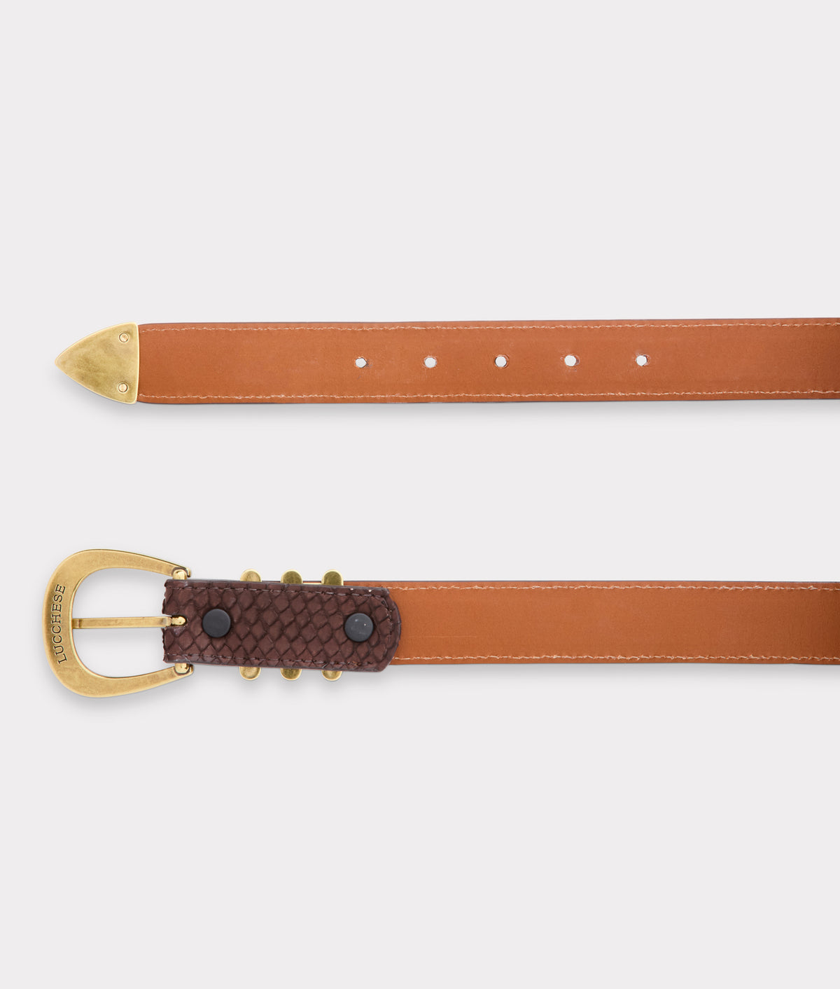 Chocolate Python Belt  :: Chocolate 3