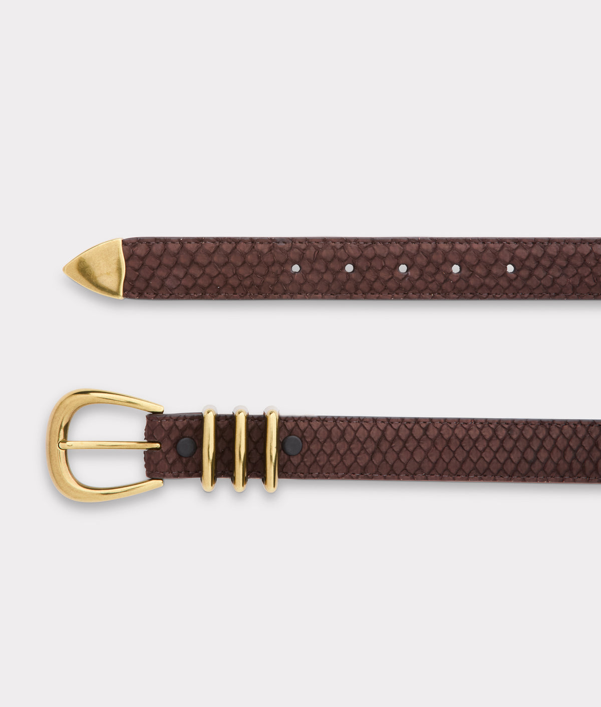 Chocolate Python Belt  :: Chocolate 2