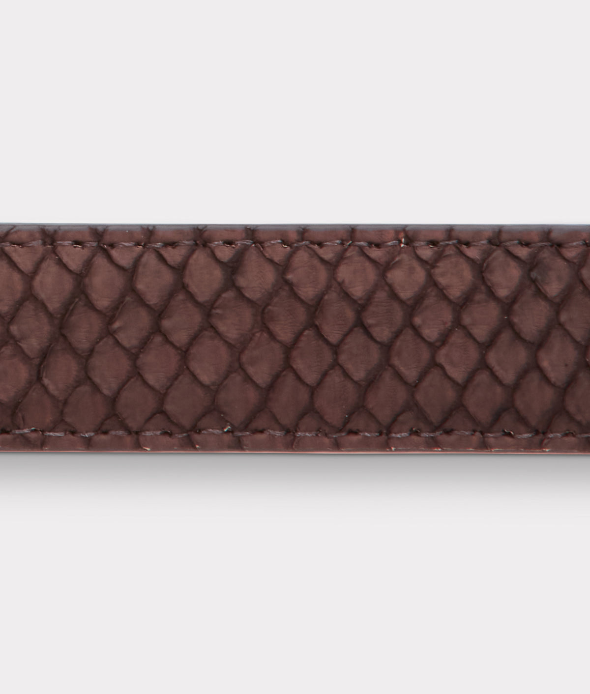 Chocolate Python Belt  :: Chocolate 4