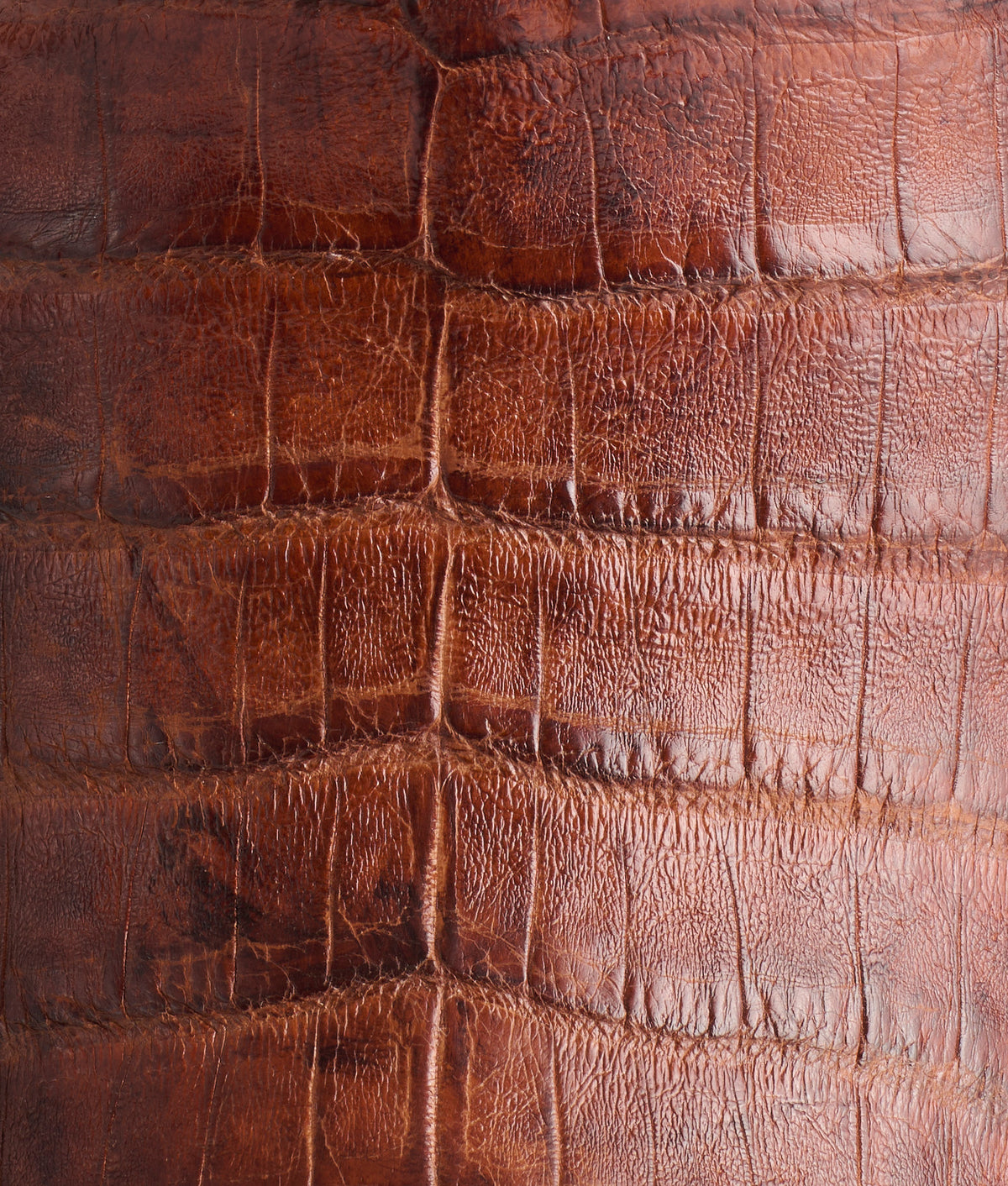 Charles :: Sienna + Dark Brown 7