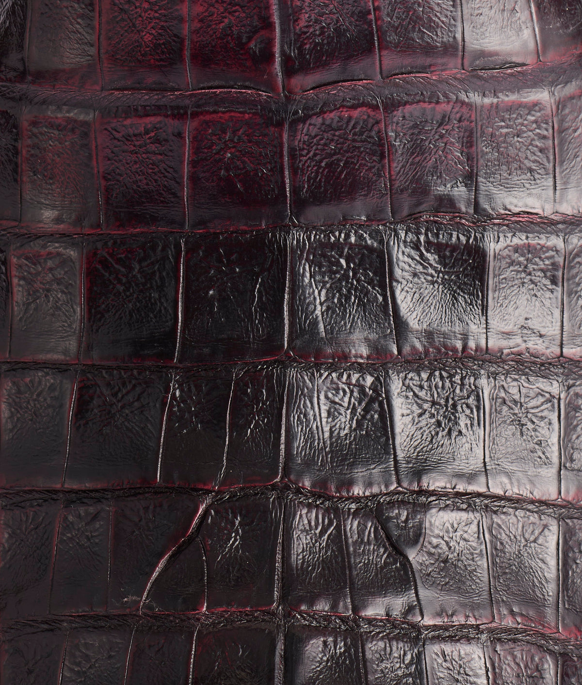 Charles :: Black Cherry + Cordovan 7