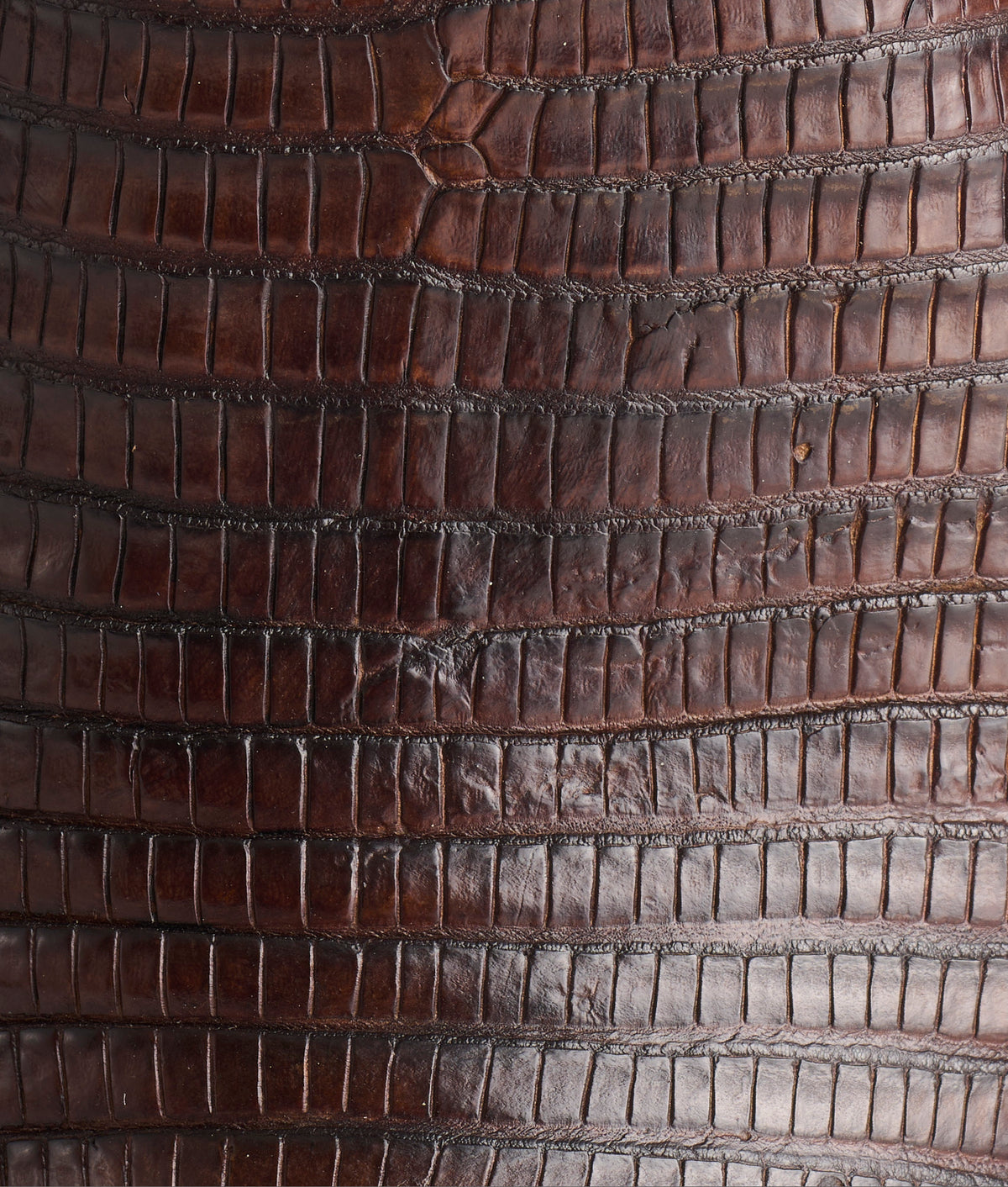 Percy :: Antique Tan + Tan 7