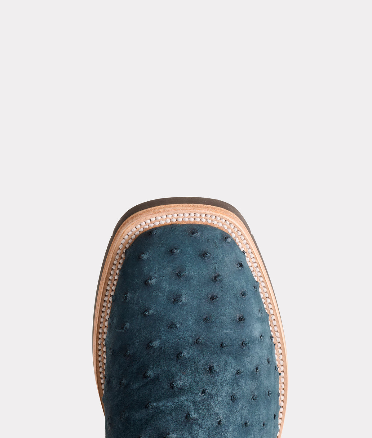 Rowdy Ostrich :: Navy 6