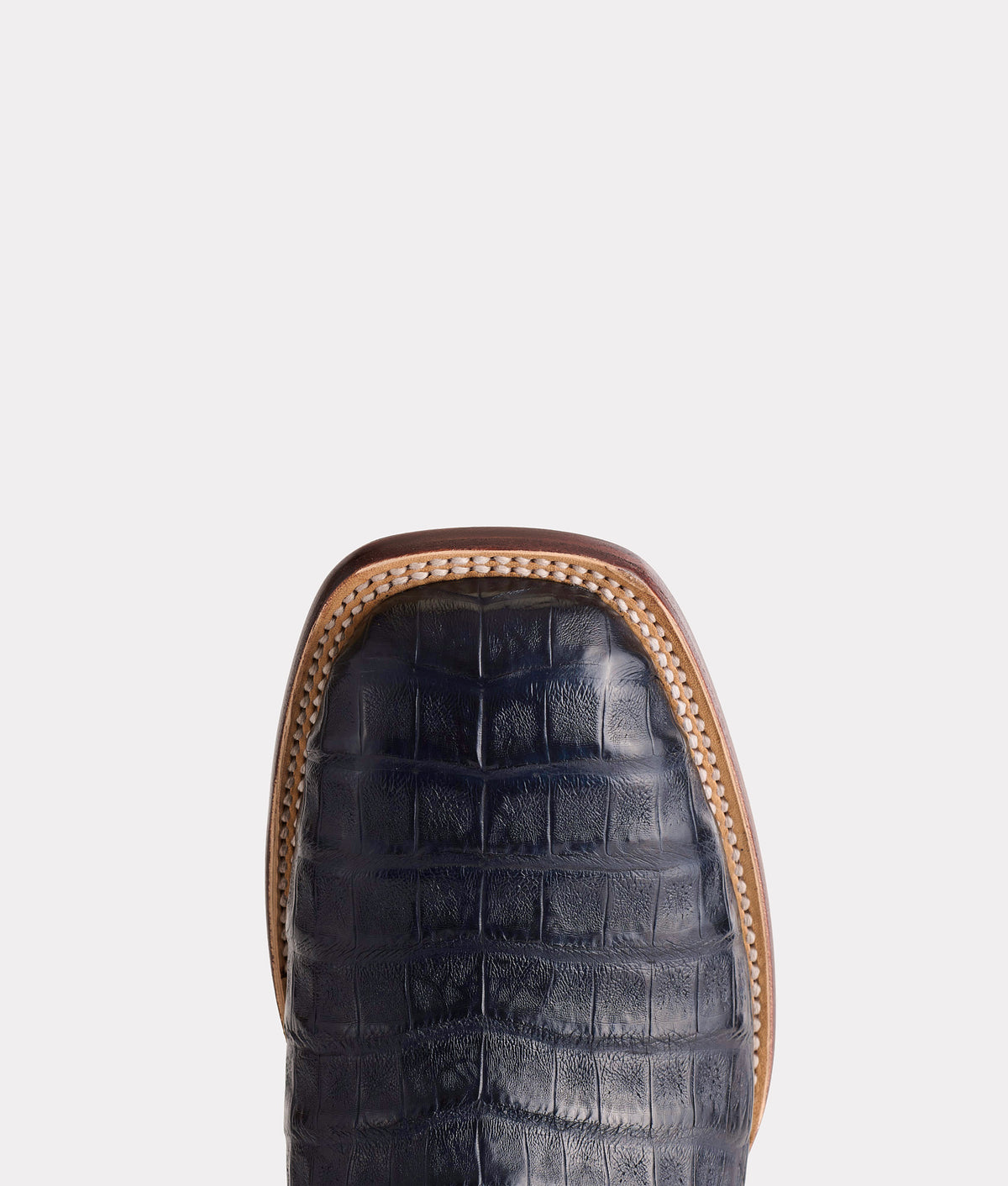 Charleston :: Navy 7