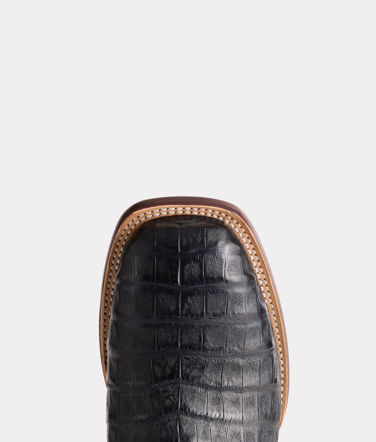 Charleston :: Navy 6