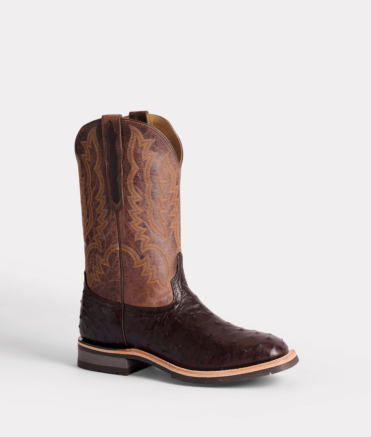 Rowdy Ostrich :: Antique Chocolate 3