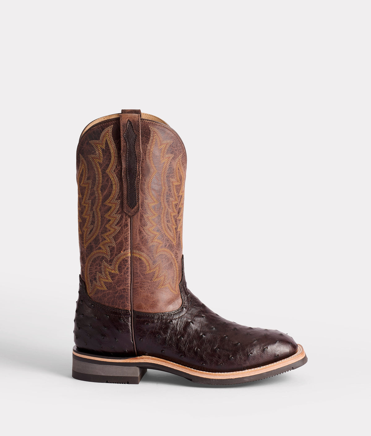 Rowdy Ostrich :: Antique Chocolate 1