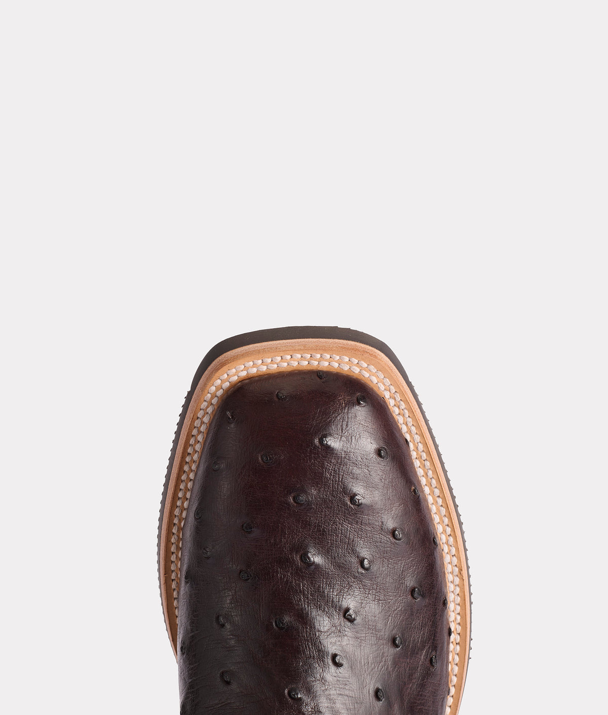 Rowdy Ostrich :: Antique Chocolate 6