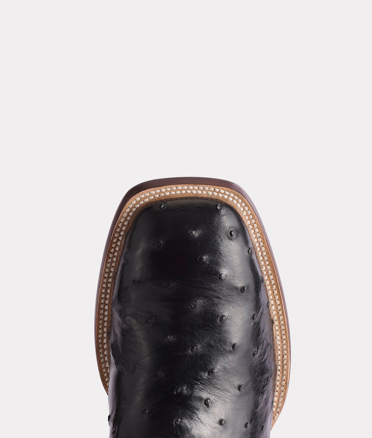Roscoe :: Black 7