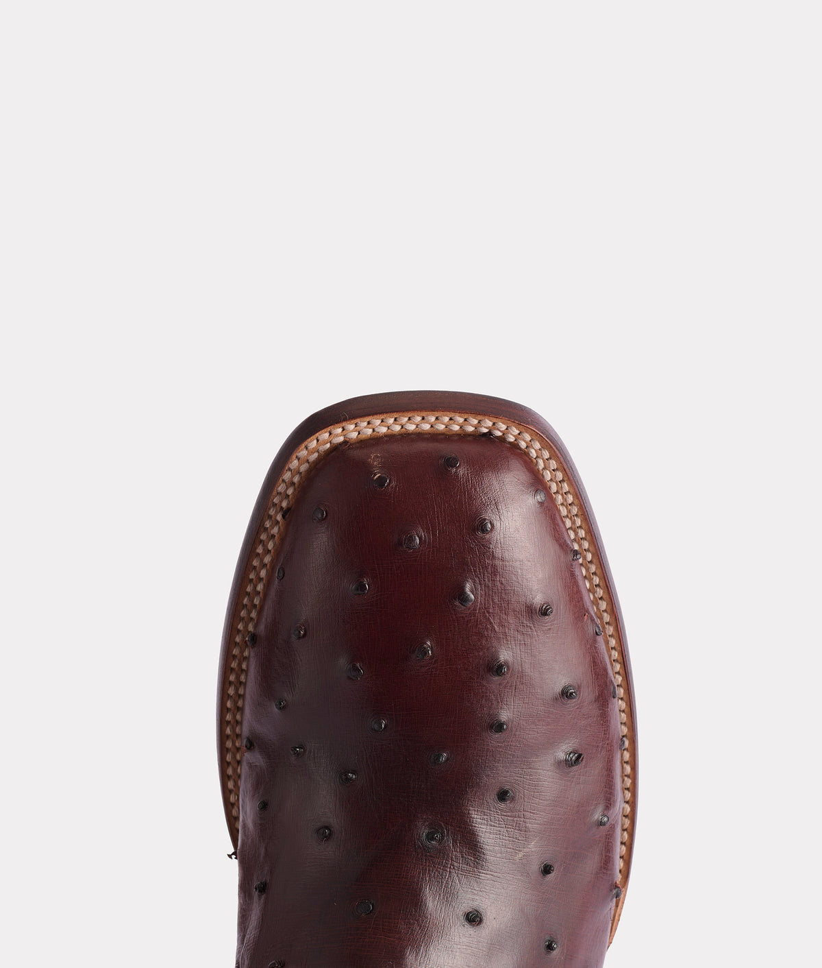 Roscoe :: Barnwood 7