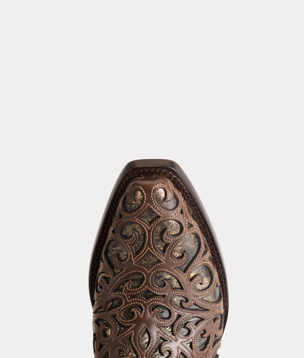 Sierra :: Espresso 7