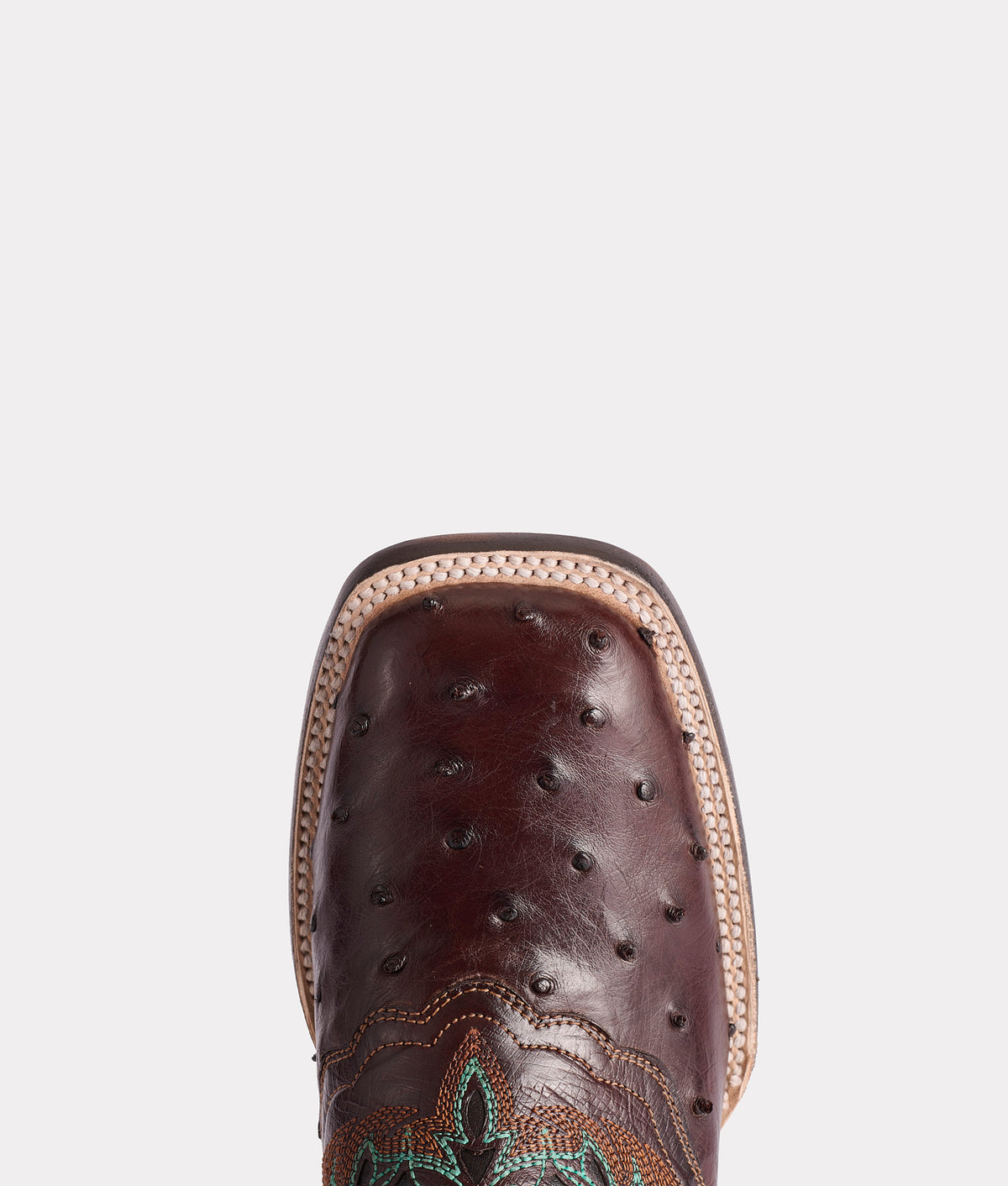 Amberlyn :: Chocolate 6