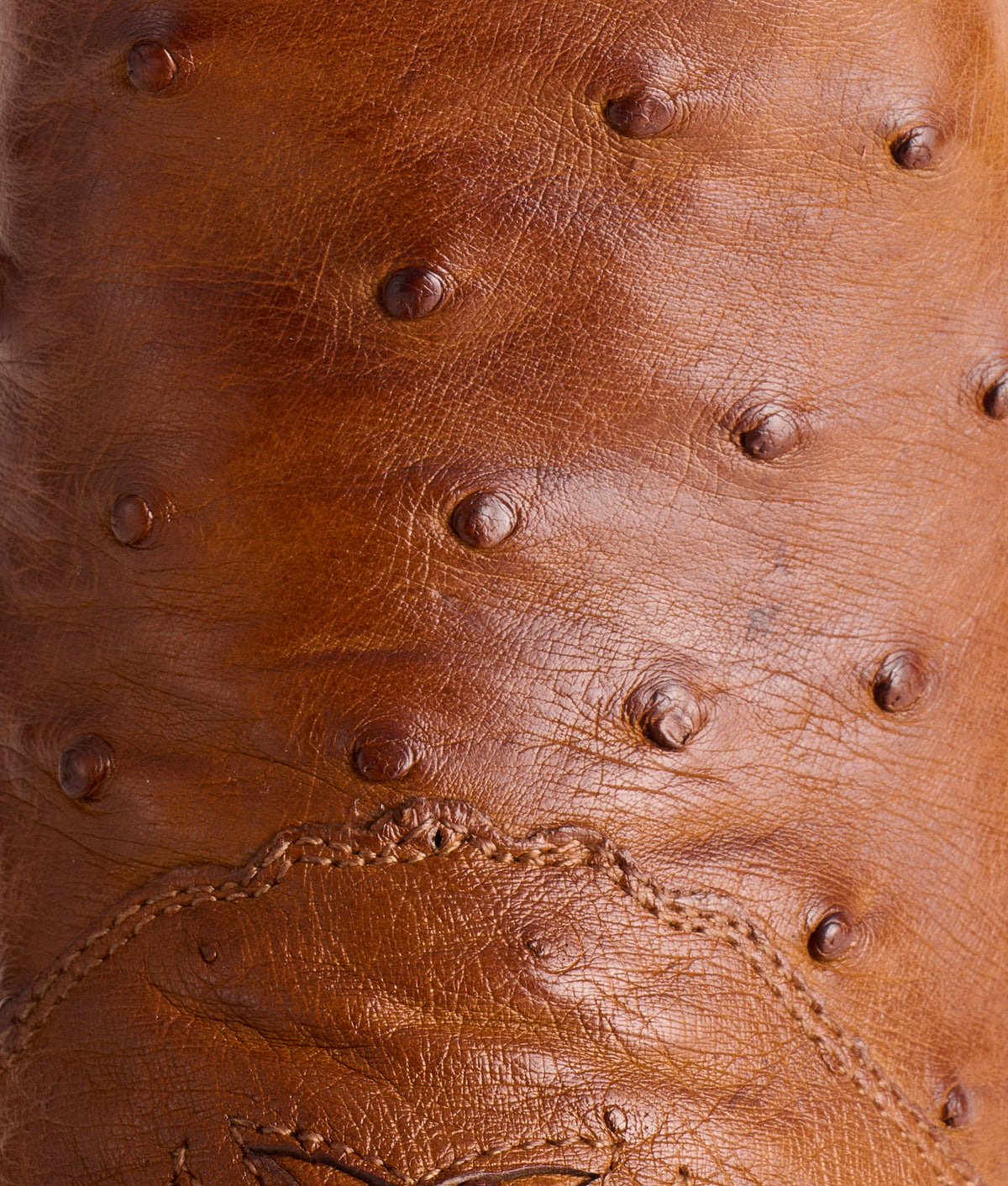 Augusta :: Tan + Camel 7