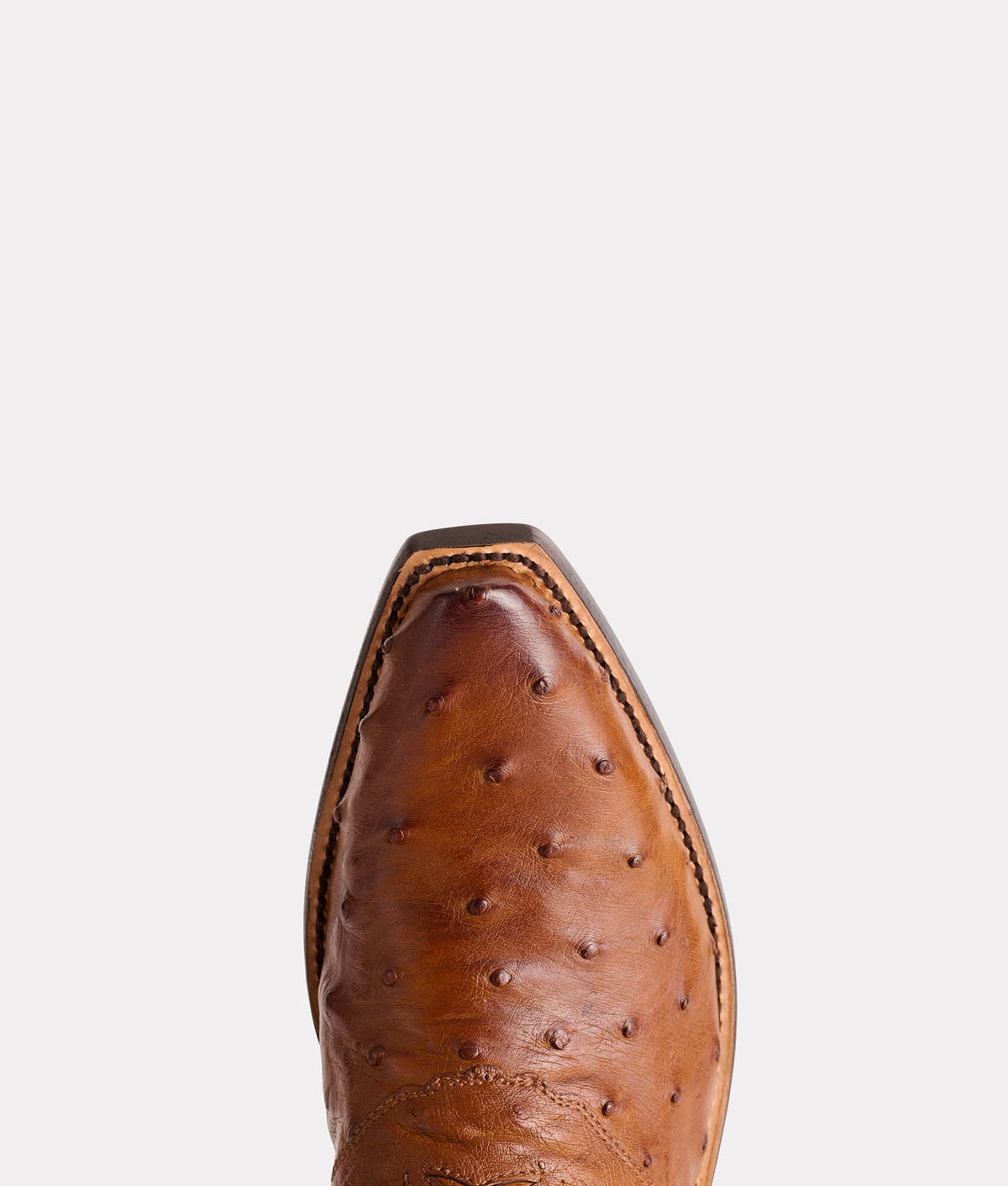 Augusta :: Tan + Camel 6