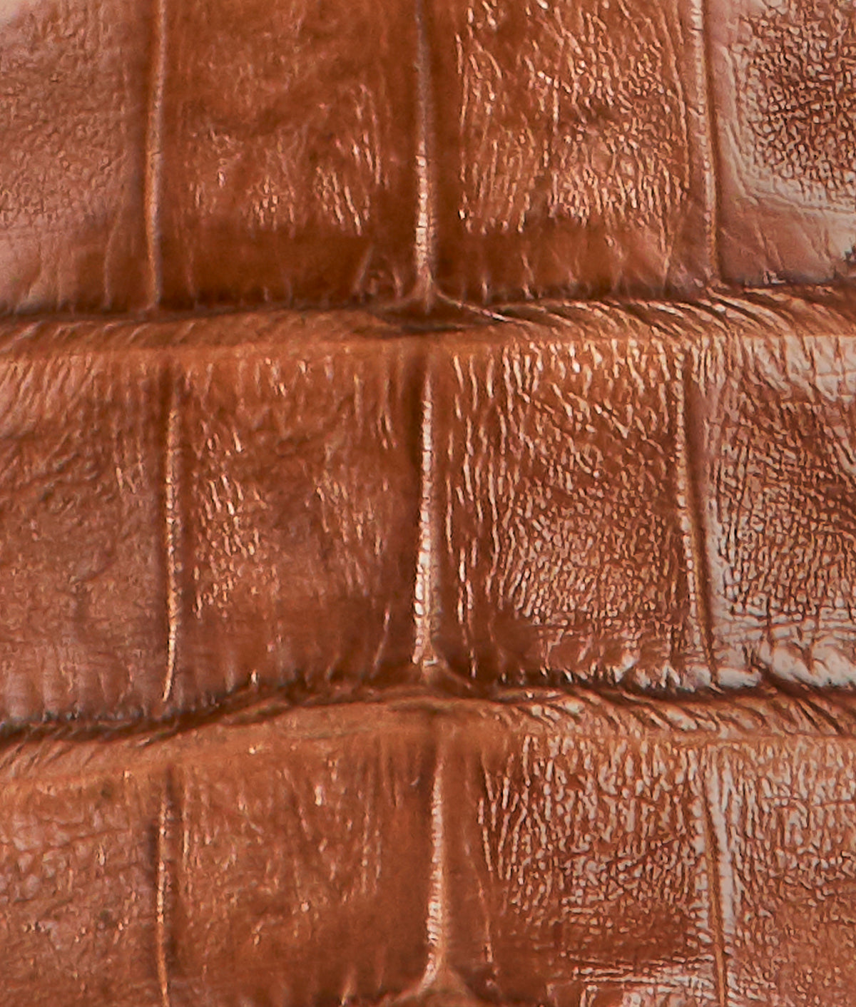 Women's A&M Exotic Barn Boot :: Sienna 8