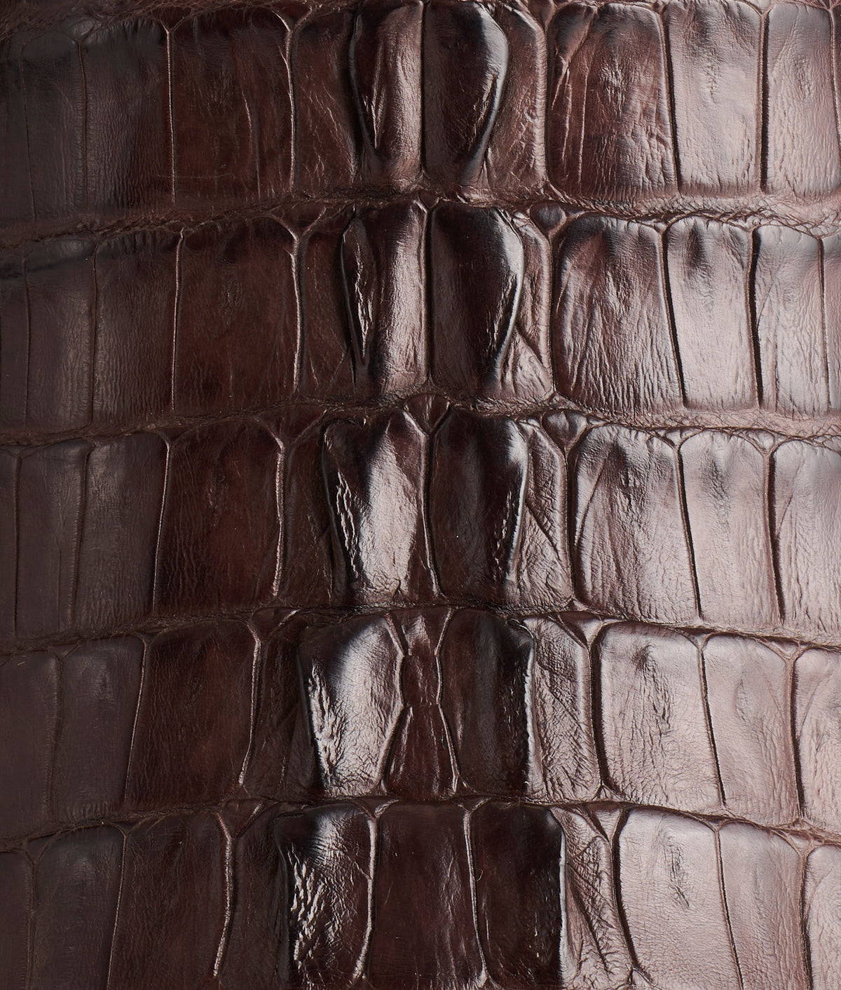 Franklin :: Barrel Brown + Chocolate 7