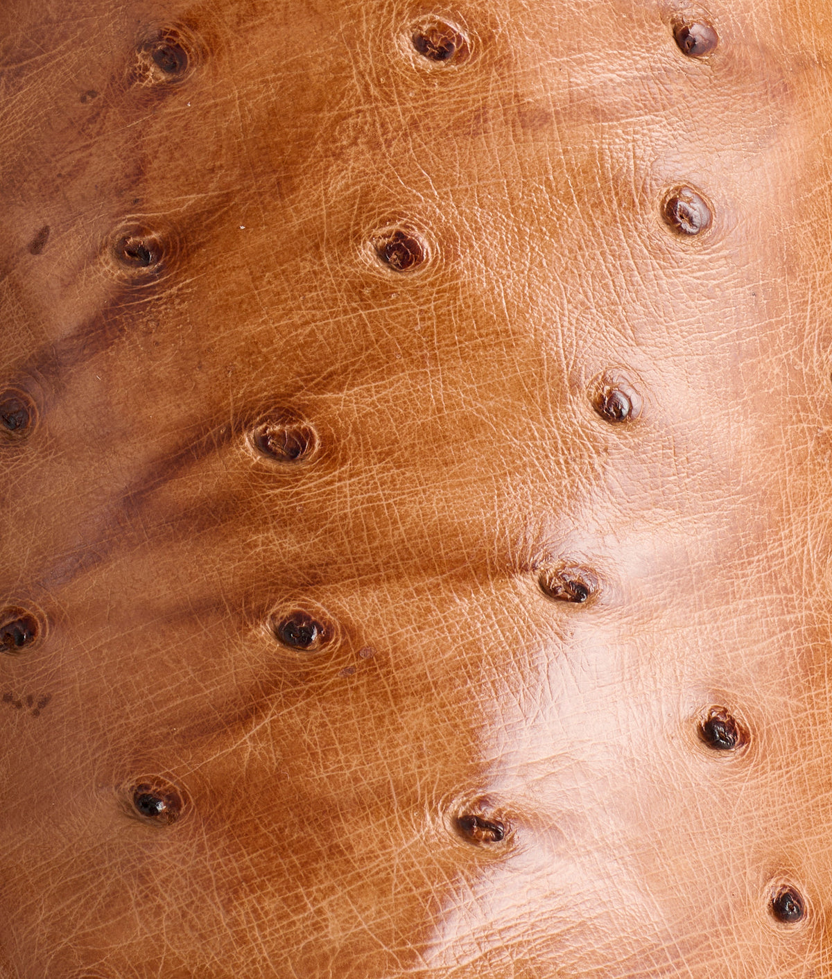 Luke :: Barnwood + Tan 15