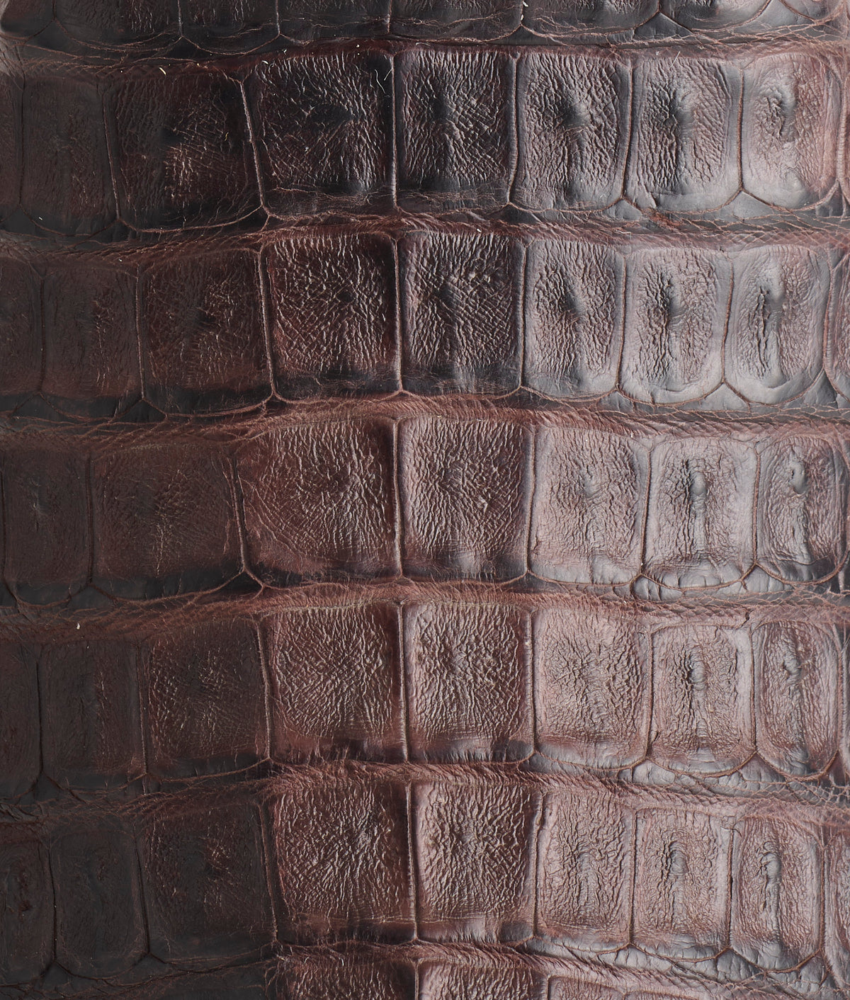 Walter :: Barrel Brown + Chocolate 8