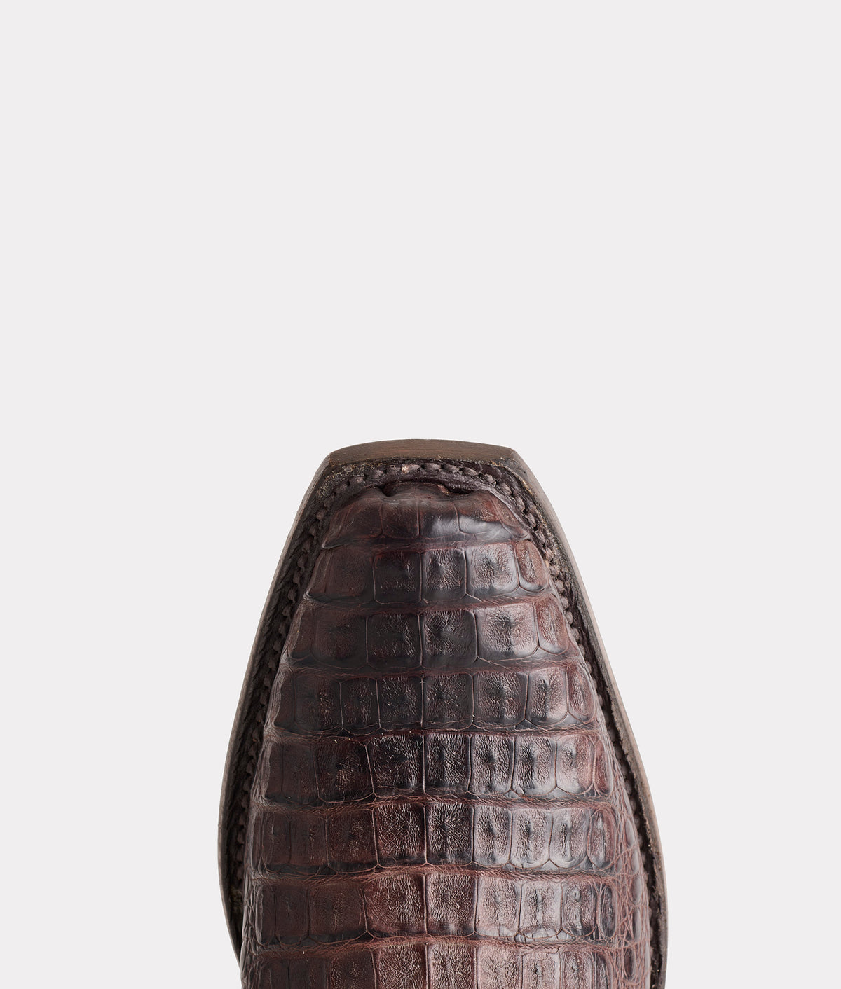 Walter :: Barrel Brown + Chocolate 7