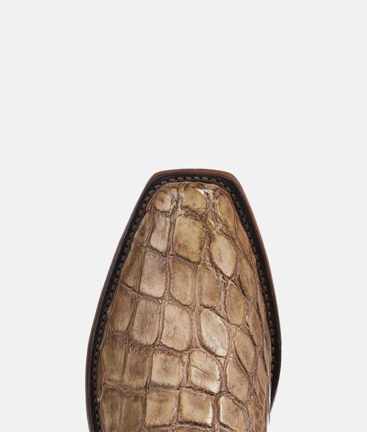 Johannes :: Chocolate 7