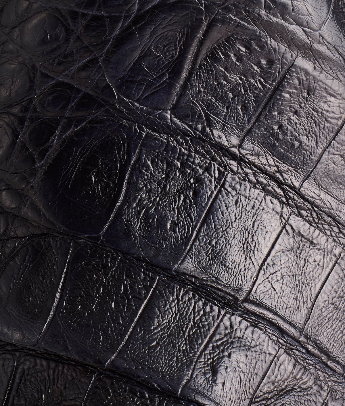 The Signal :: Black 10