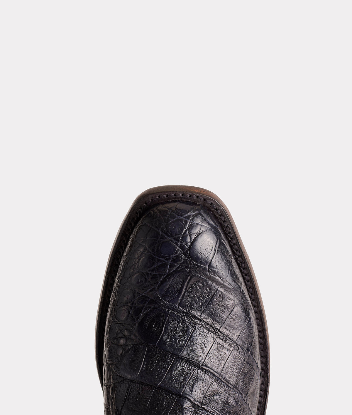 The Signal :: Black 8