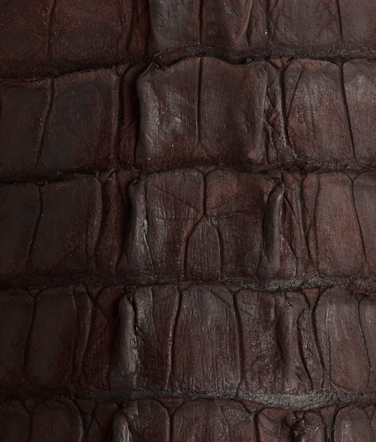 Hwy 285 :: Dark Espresso 10