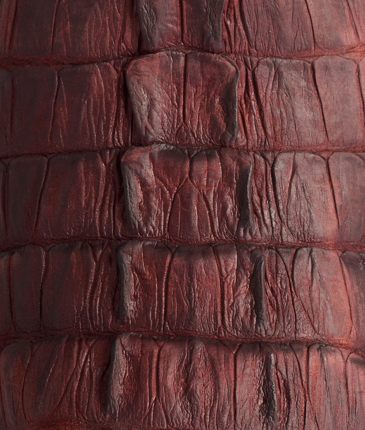 Hwy 285 :: Sienna 10