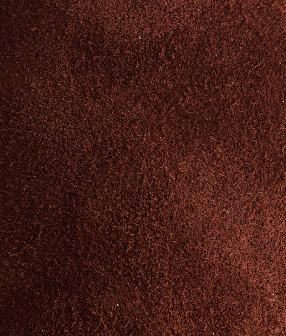 Old Friend :: Chocolate 10