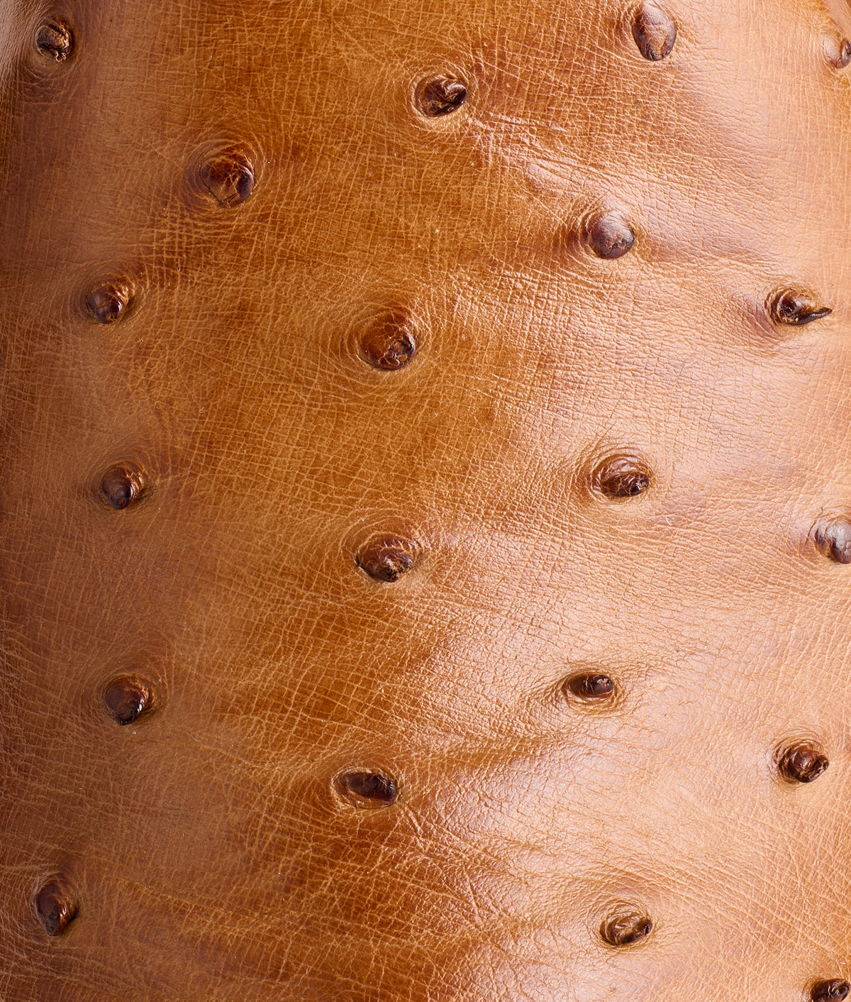 Zane :: Barnwood + Tan 7