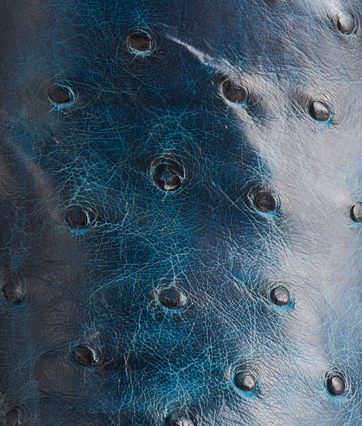 Hudson :: Navy + Chocolate 7