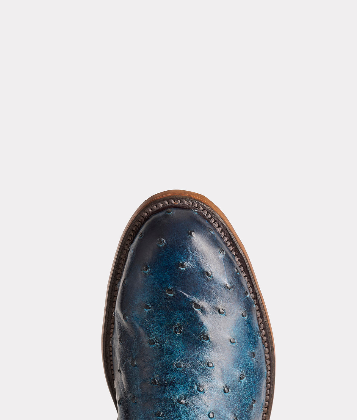 Hudson :: Navy + Chocolate 6