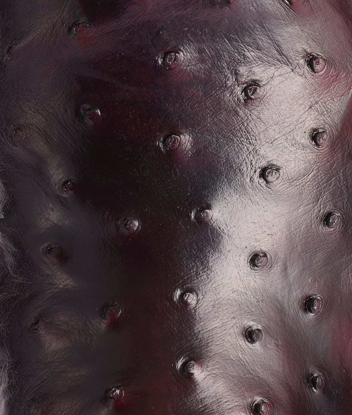 Hudson :: Black Cherry + Black 7