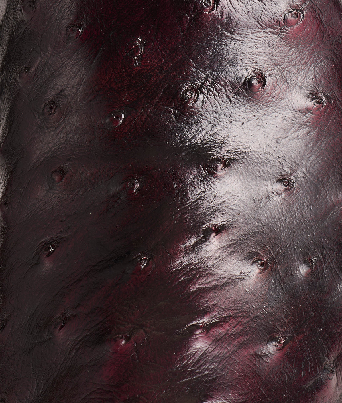 Josephine :: Black Cherry 7